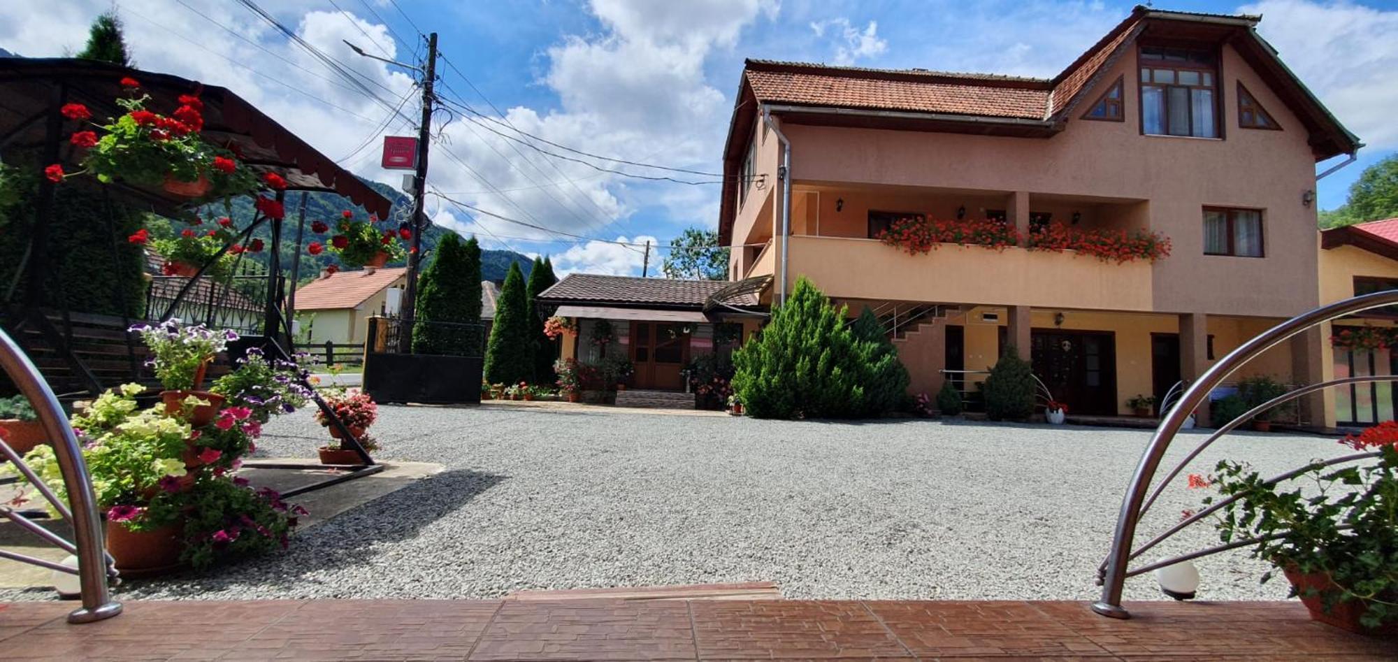 Pensiunea Apuseni Vidra  Exterior photo