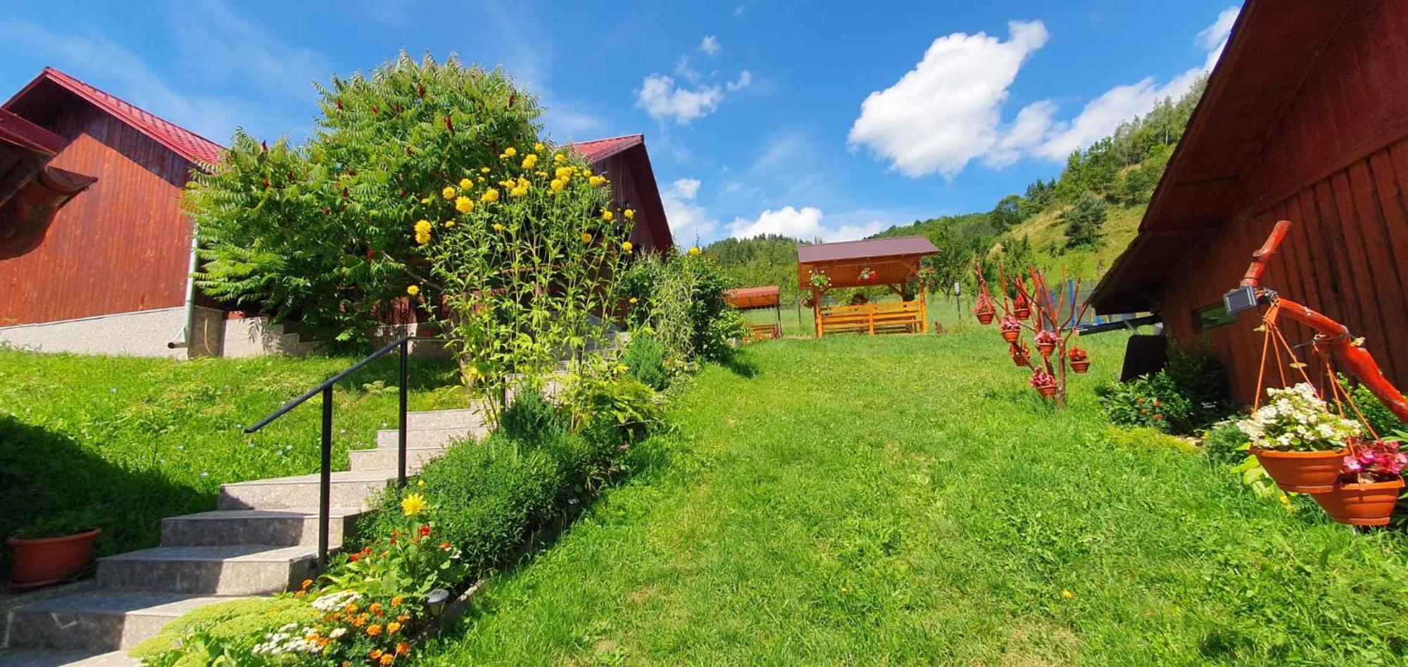 Pensiunea Apuseni Vidra  Exterior photo