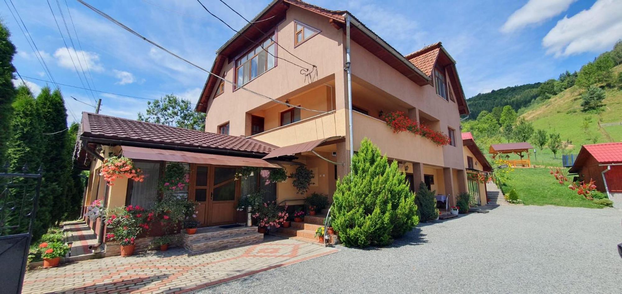 Pensiunea Apuseni Vidra  Exterior photo