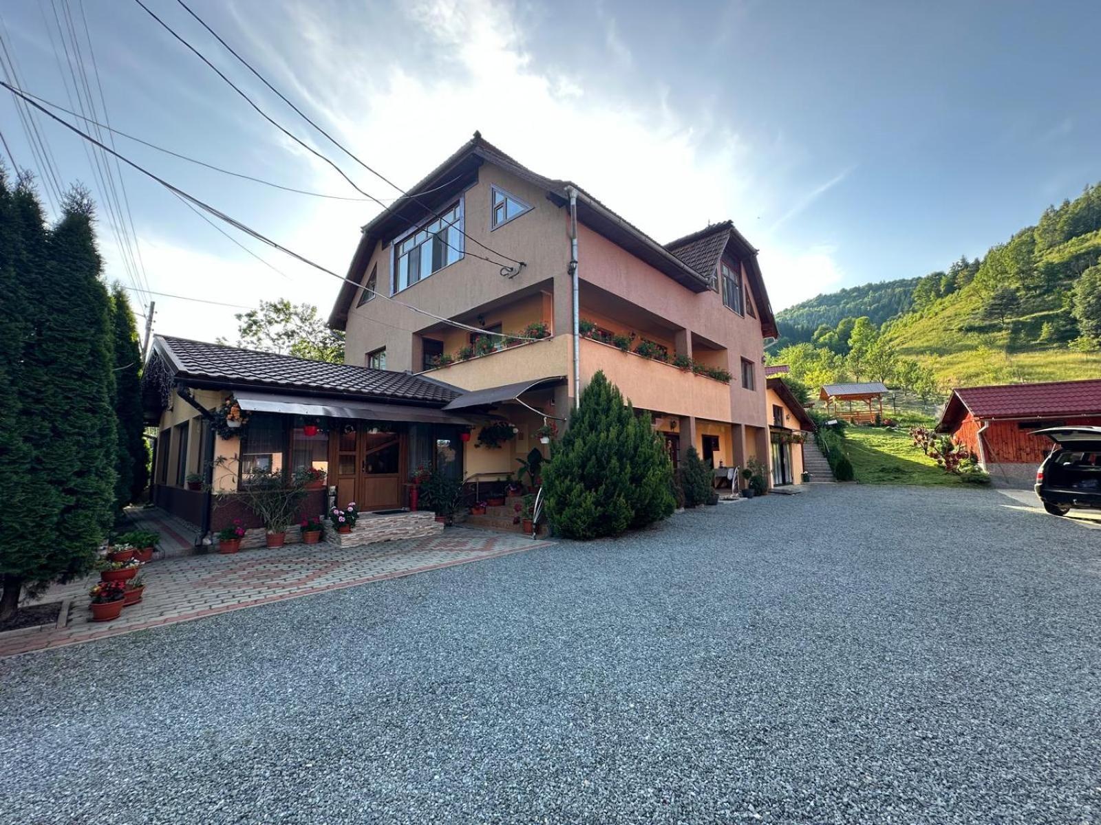 Pensiunea Apuseni Vidra  Exterior photo